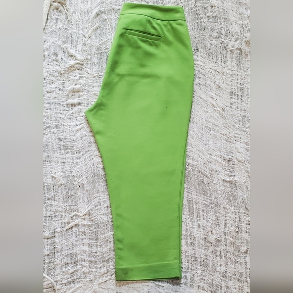💚5/$25 Charter Club Paint Shop Vibrant Green Cropped Ankle Chino Pants Size 10 - Picture 3 of 5